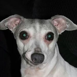 Meet your Posher, Donna